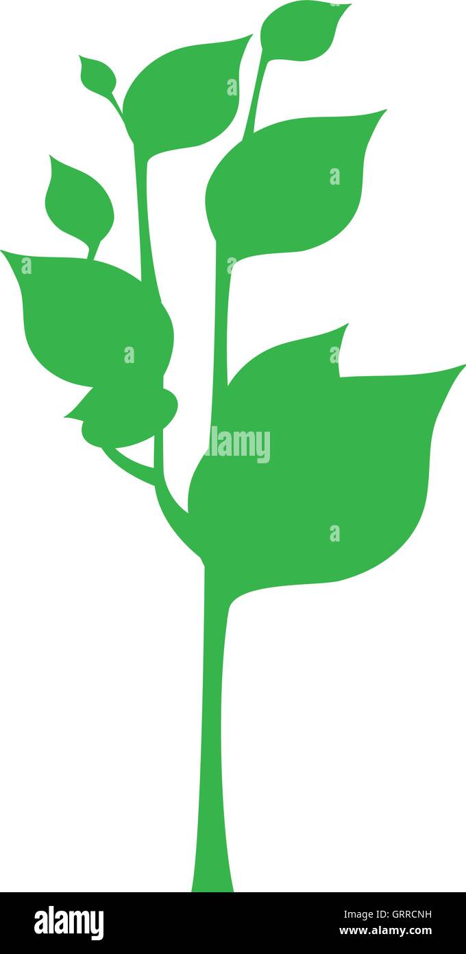 leaf plant green nature ecology icon. Vector graphic Stock Vector Image ...