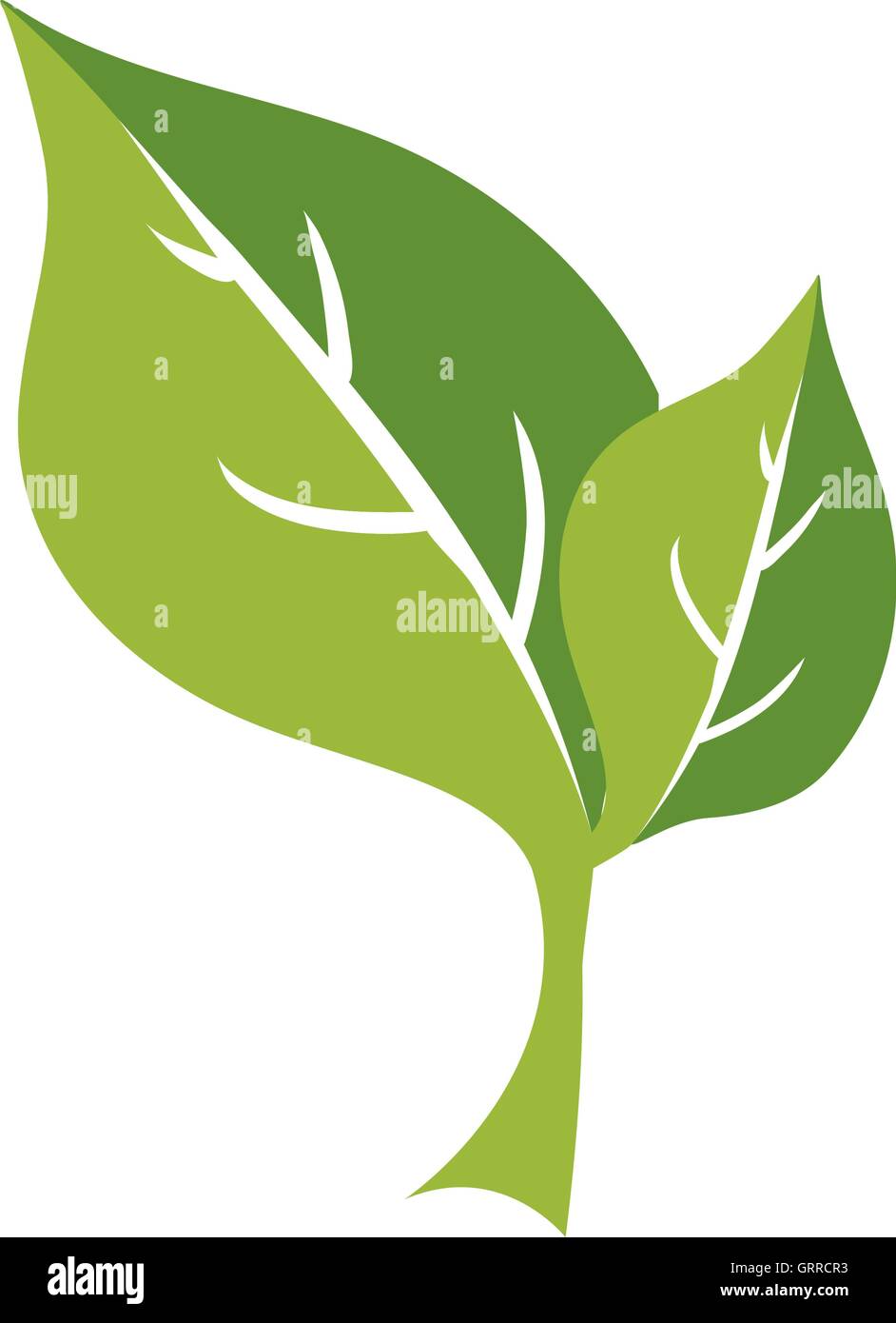 leaf plant green nature ecology icon. Vector graphic Stock Vector Image ...