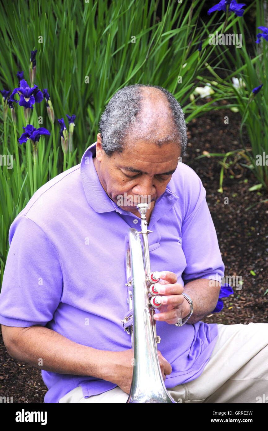 Jazz musician blowing his flugelhorn Stock Photo - Alamy