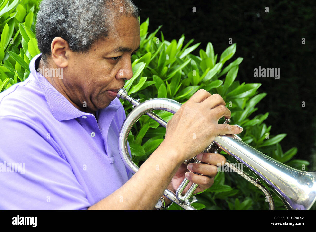 Jazz musician blowing his flugelhorn Stock Photo - Alamy