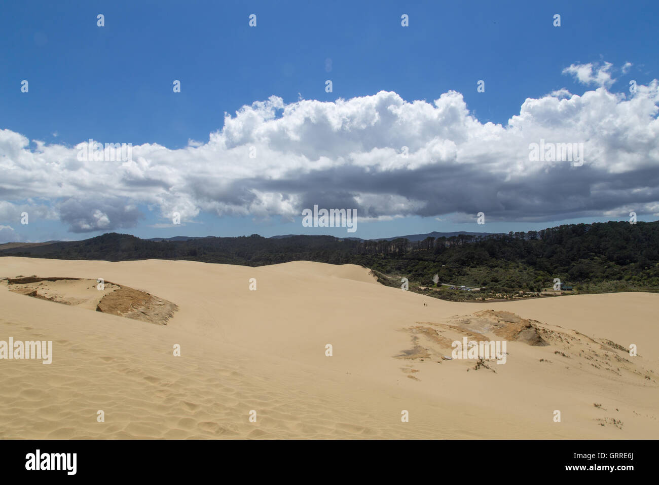 View from top of the Giant Te Paki Sand Dune on the North Island in New Zealand Stock Photo