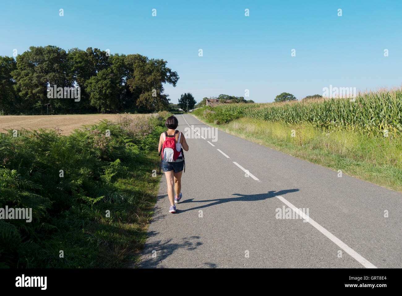 a woman hiker walking on the road Stock Photo - Alamy