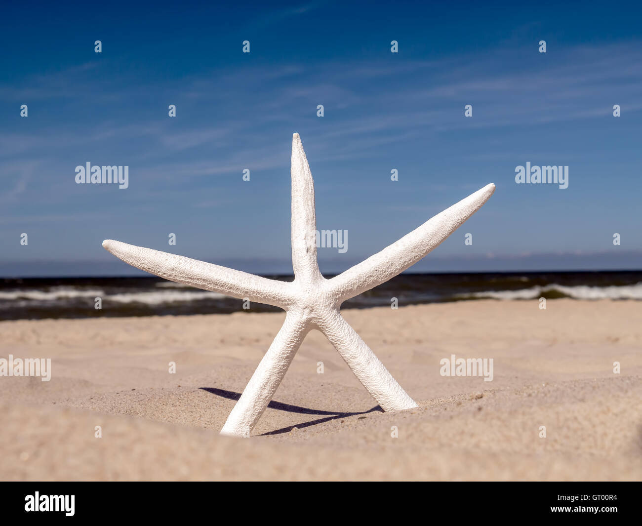 White starfish stuck into the sand over the sea Stock Photo