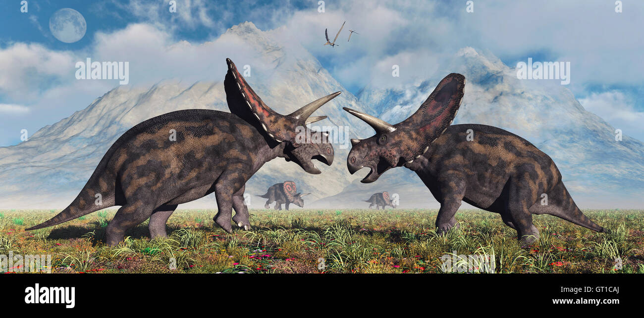Tomosaurus Herbivore Dinosaurs. Stock Photo