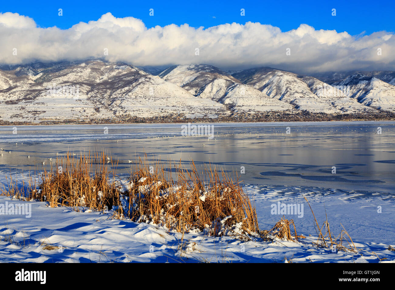 The frozen waters of Farmington Bay Waterfowl Management Area Farmington Davis County Utah USA Stock Photo