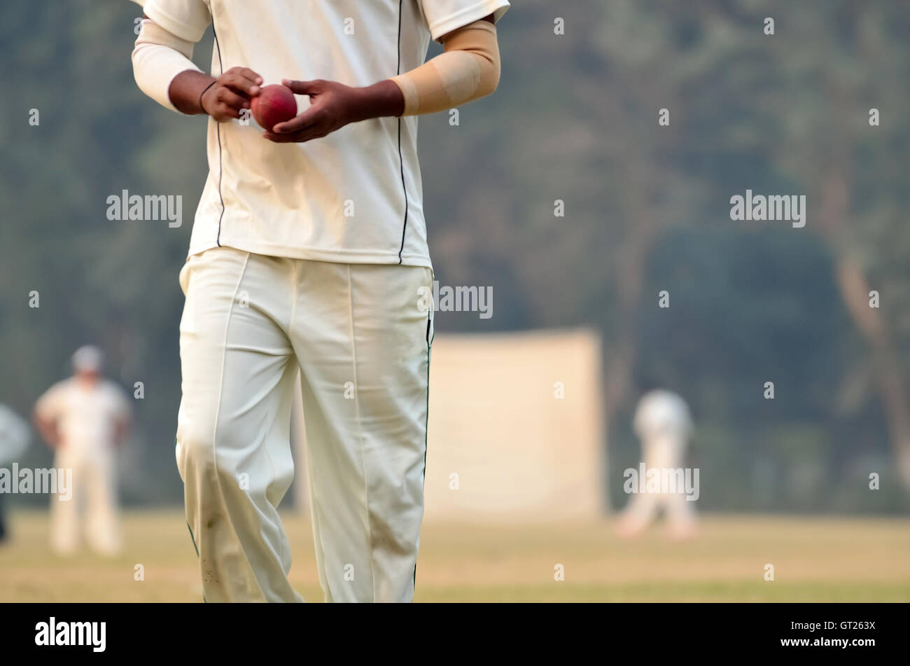 Cricket blower is walking with ball Stock Photo Alamy