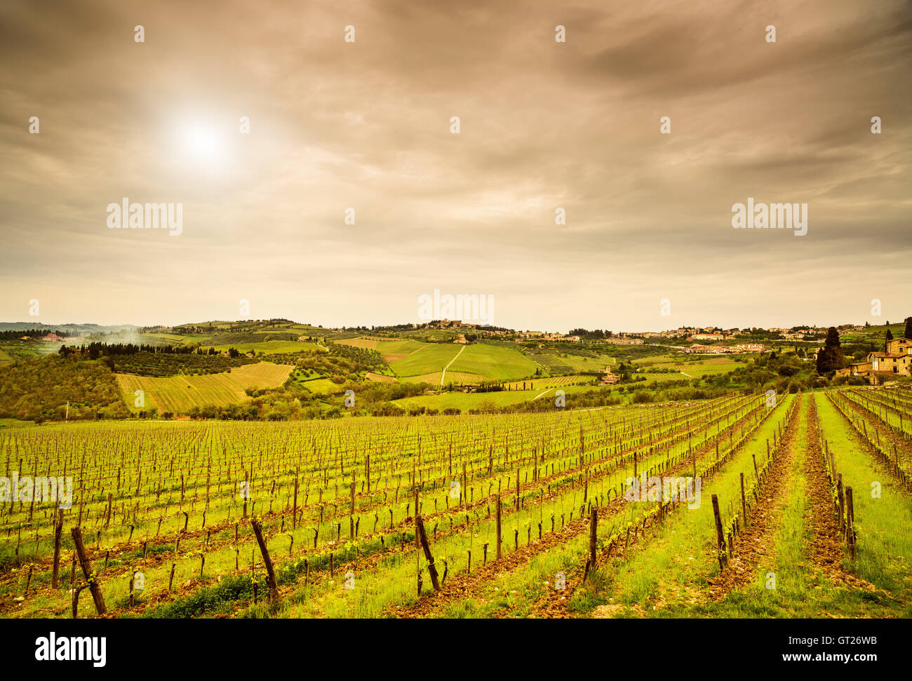 Chianti region, Panzano vineyard, trees and farm on sunset. Tuscany, Italy, Europe. Stock Photo