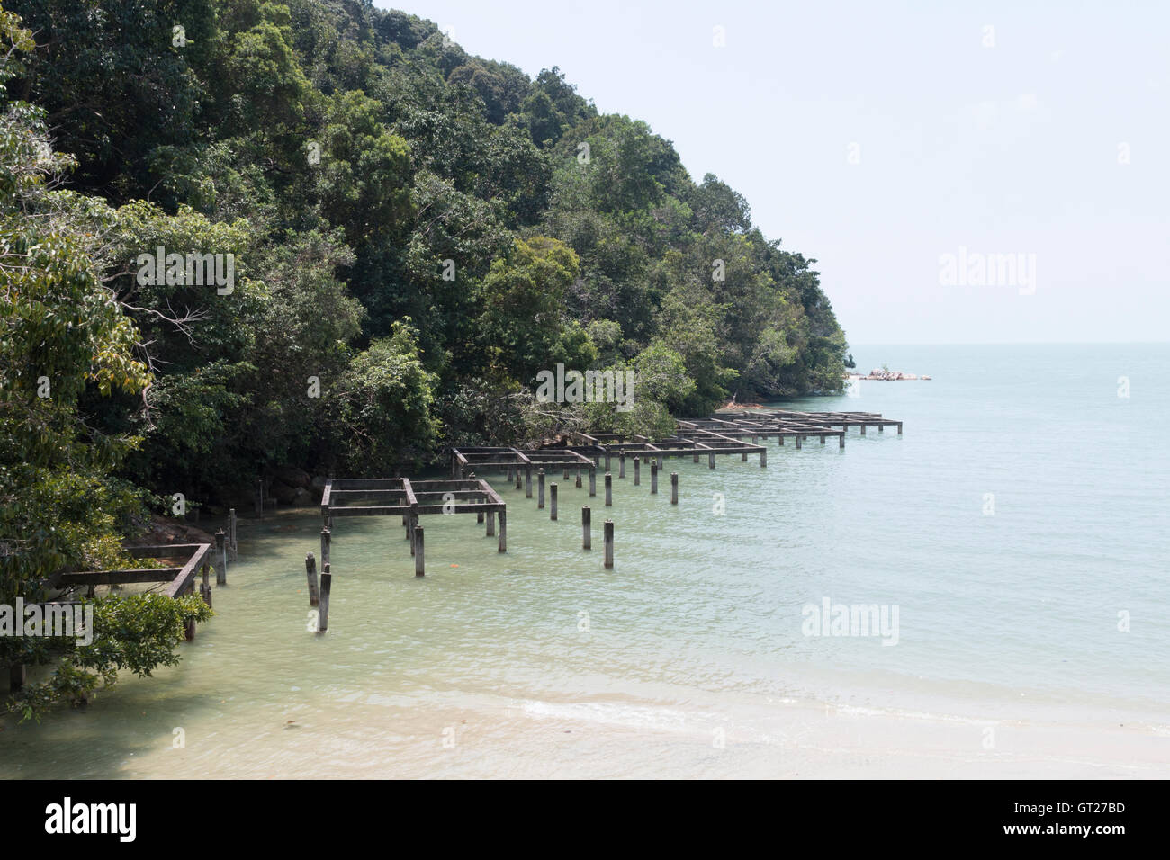 Penang National Park, Malaysia Stock Photo