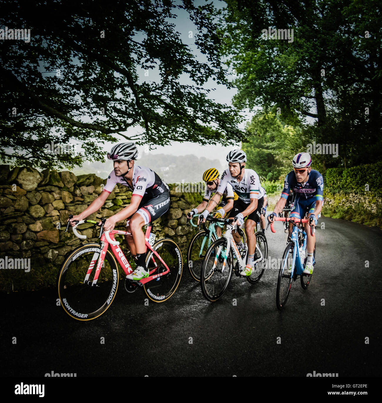 Tour of Britain 2016 stage 2 on the Struggle climb, Ambleside, Cumbria, UK. Stock Photo