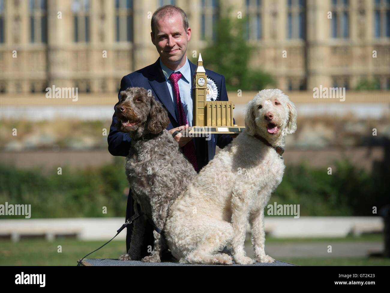 small pet grooming table
