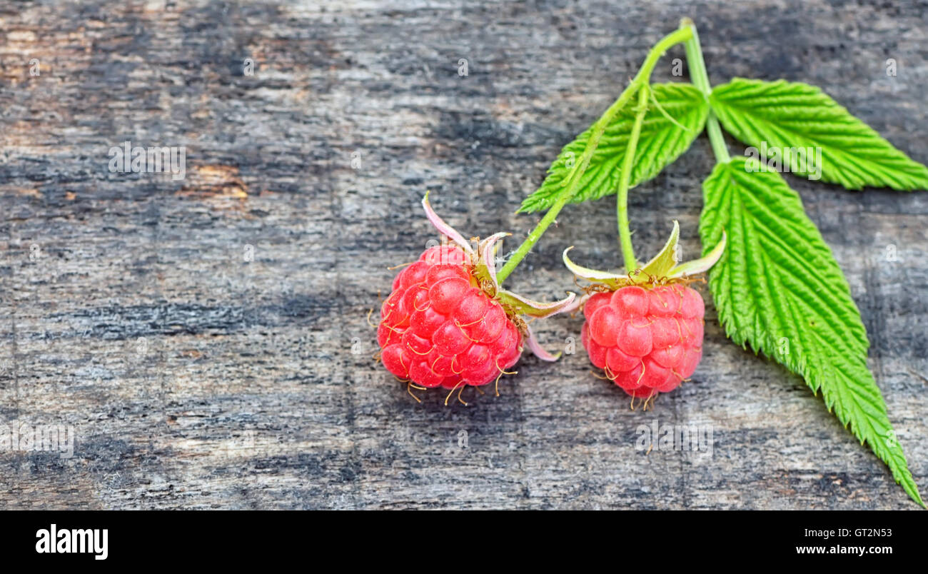 two fresh raspberries Stock Photo - Alamy
