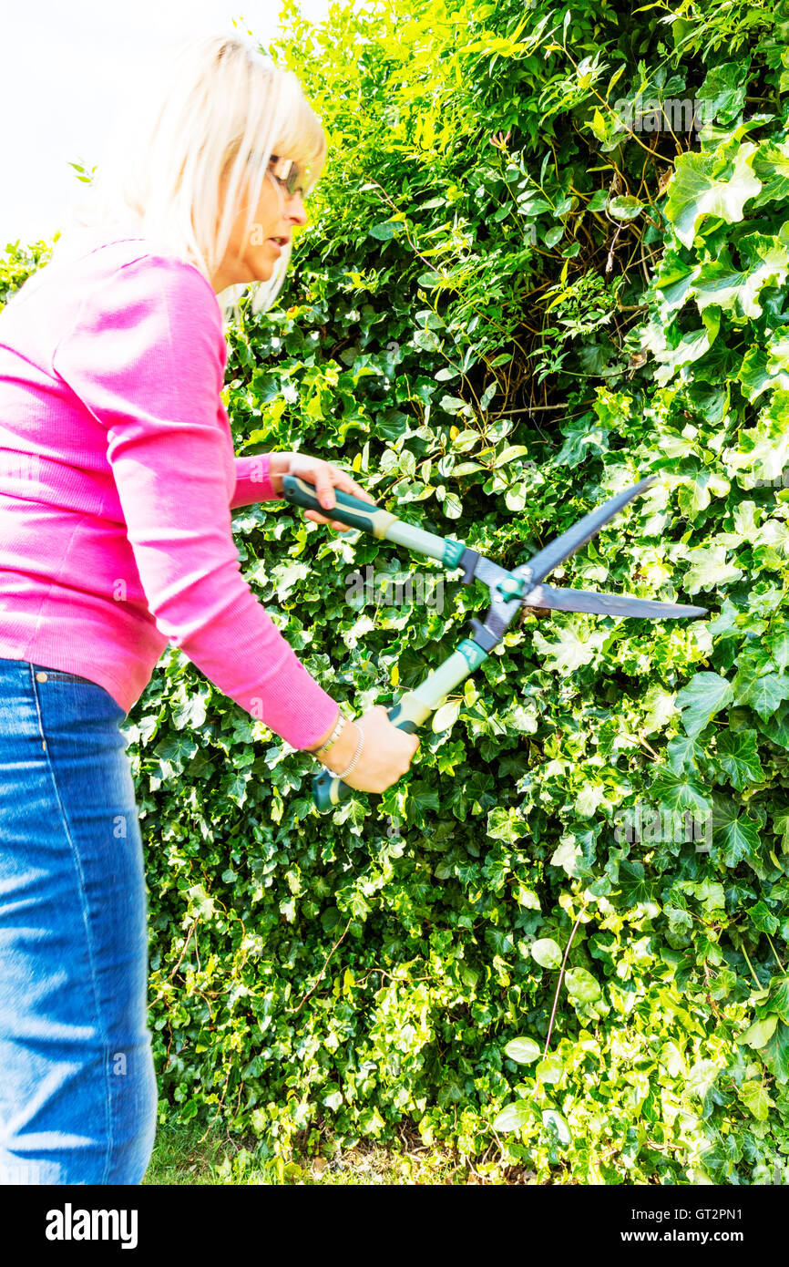 Cutting hedges hires stock photography and images Alamy