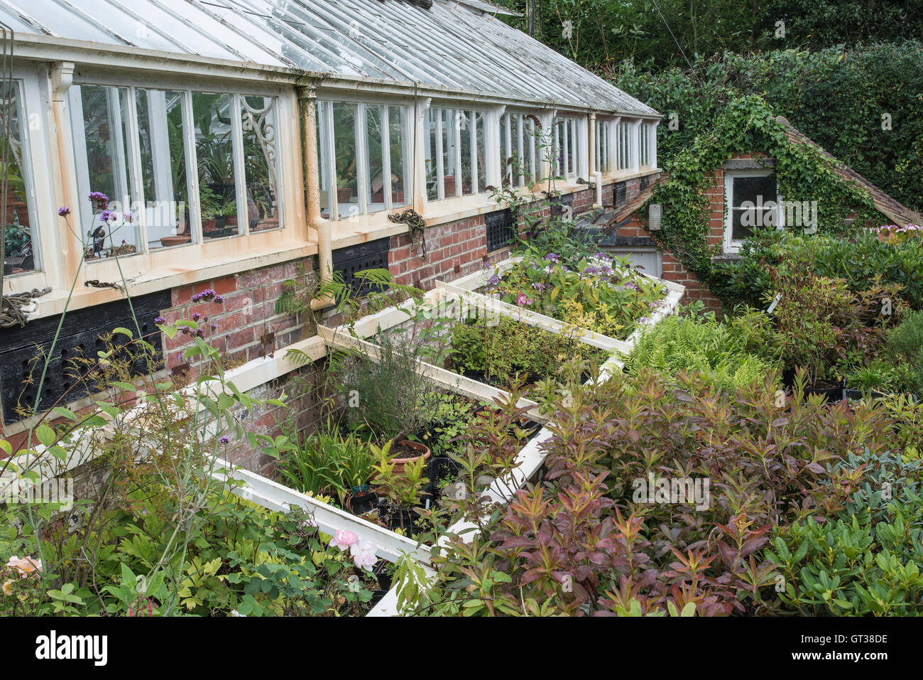 Beautiful Old Victorian Era Greenhouse Left To Ruin In Old English Garden Stock Photo Alamy