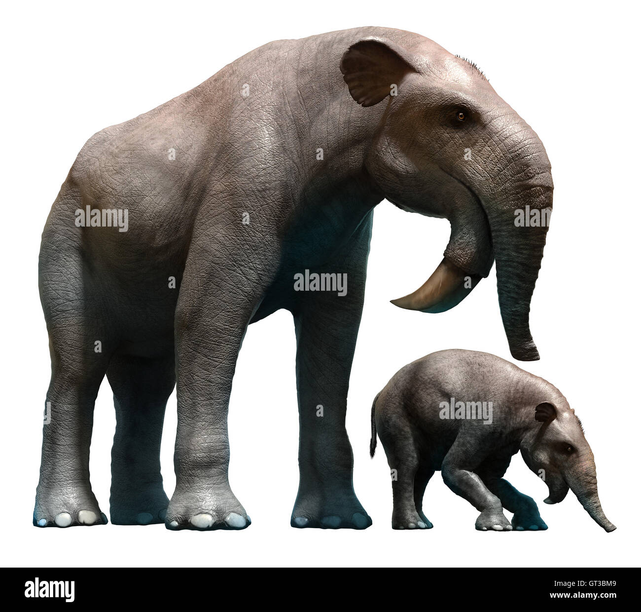 Deinotherium 3d pleistocene hi-res stock photography and images - Alamy