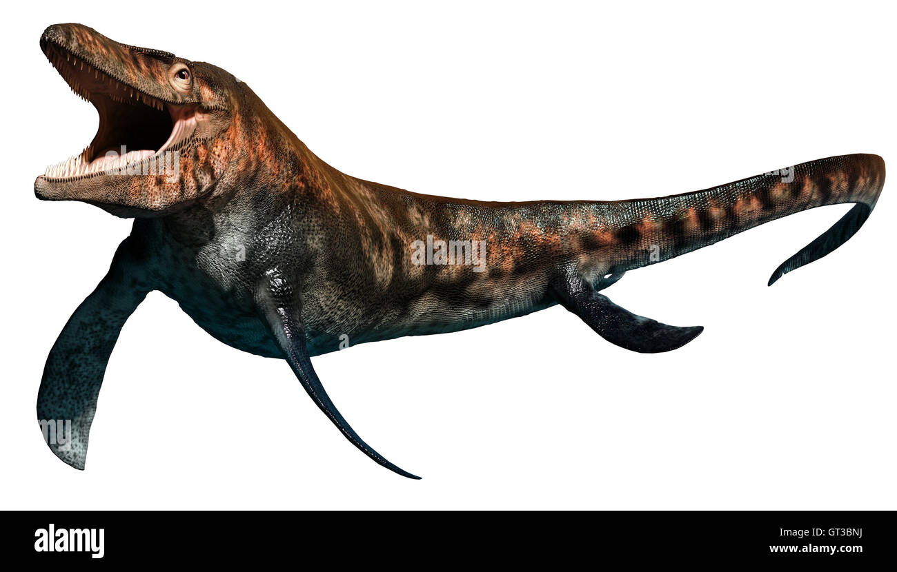 Tylosaurus Stock Photo Alamy