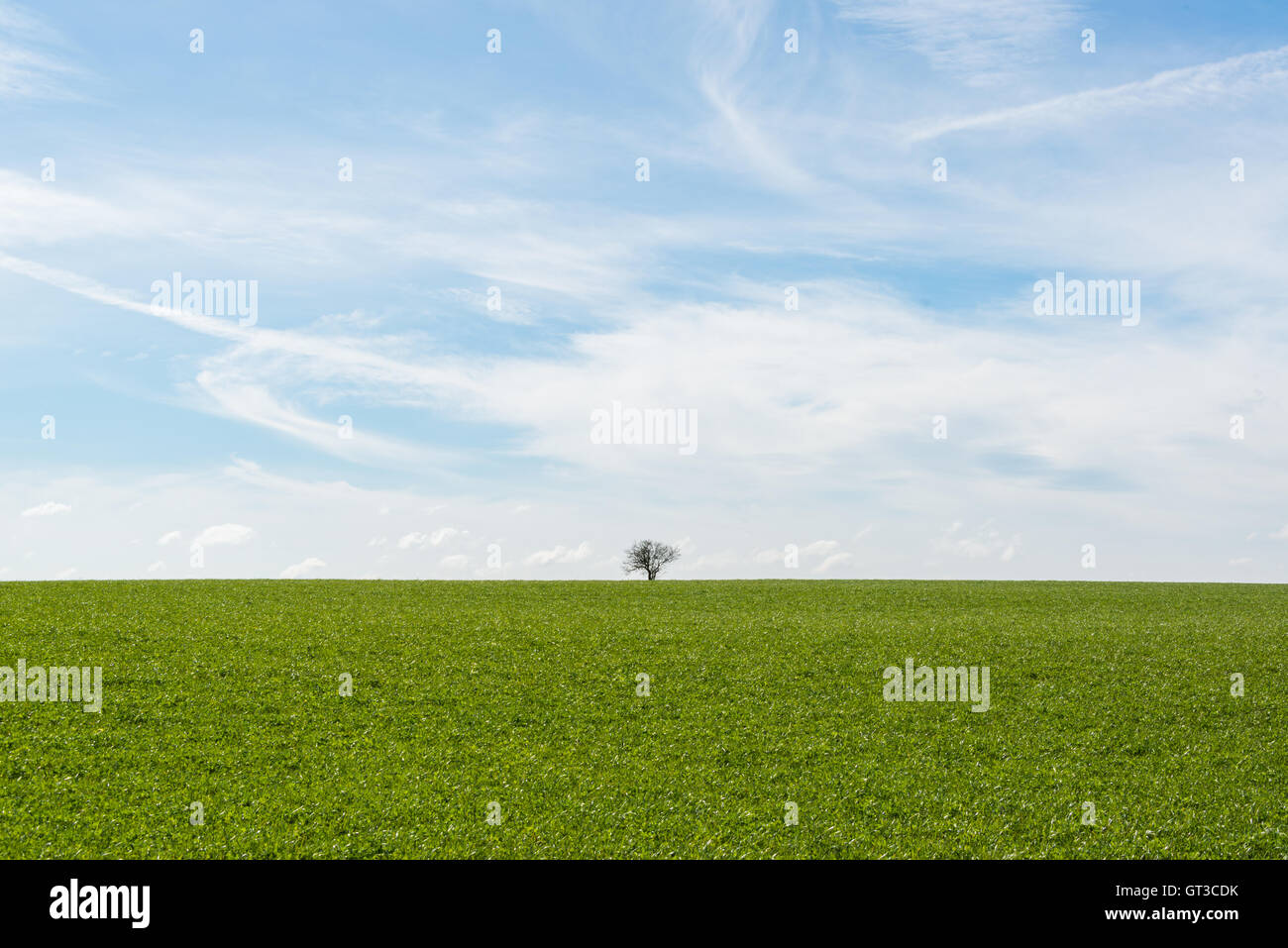 1 one single lone alone solitary hires stock photography and images Alamy