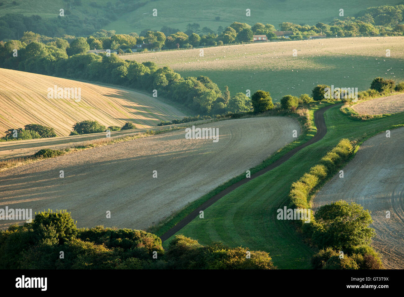 Late summer in South Downs National Park, East Sussex, England. Stock Photo