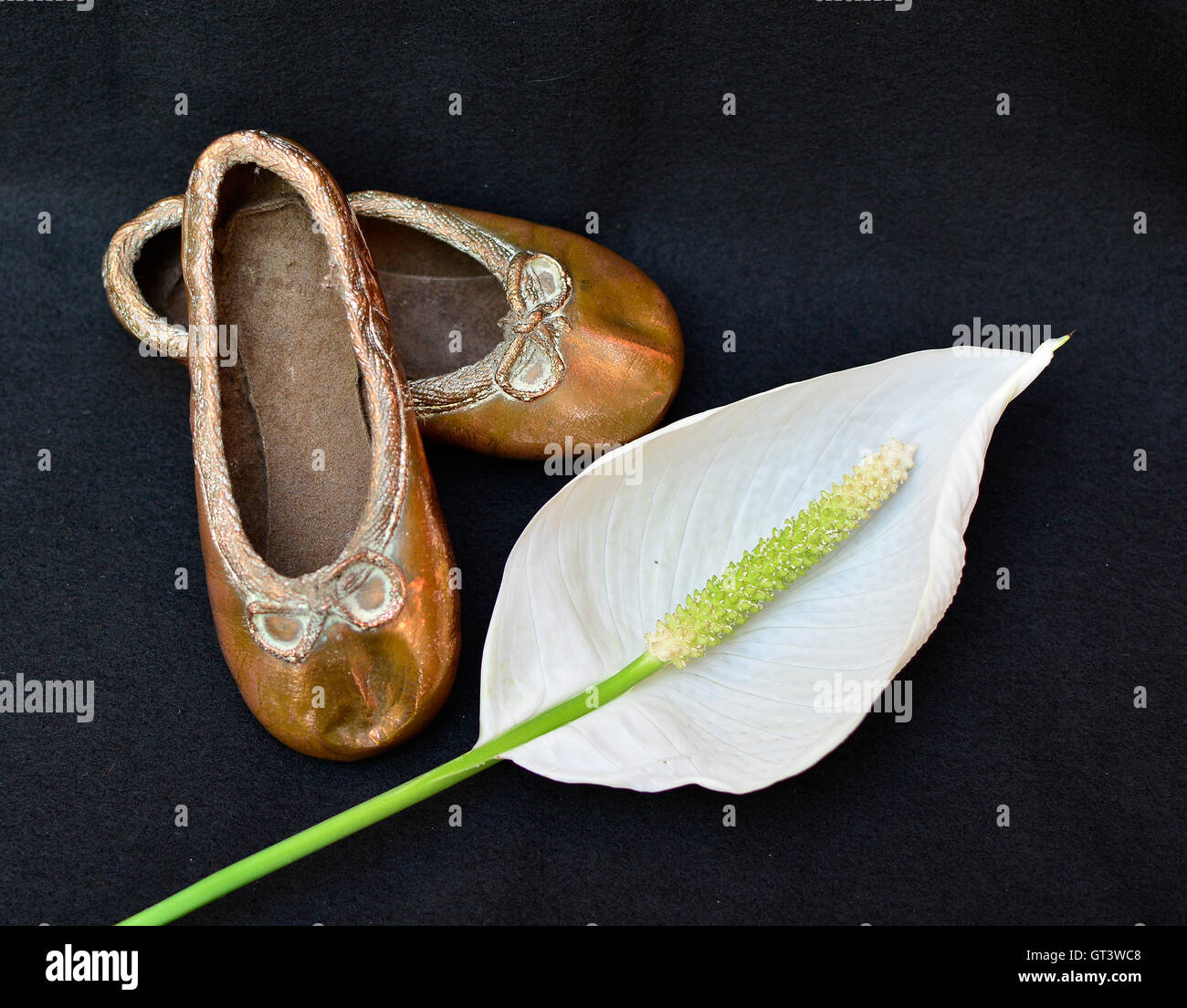 Her first ballet shoes. Copper toddler ballet shoes. Dancing shoes. Baby ballet shoes. With white peace lily. Stock Photo
