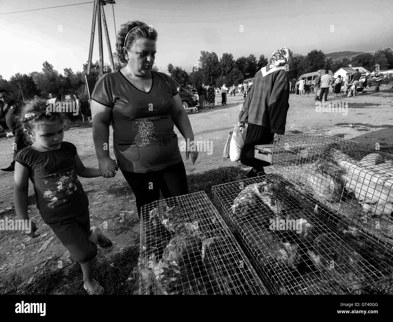 Middle-aged woman holding a little girl by the hand, they consider hens in cages on domestic animals market in the town of Kosov Stock Photo