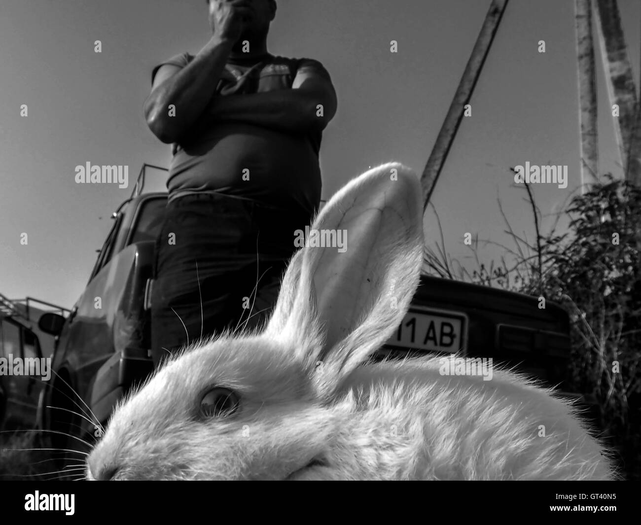 Man sells white rabbit on domestic animals market in the town of Kosov, Ivano-Frankivsk Oblast, Ukraine Stock Photo