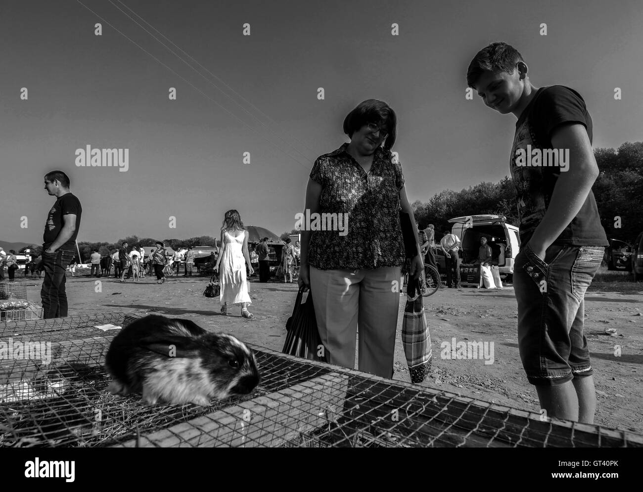 Woman and teenager considering spotted rabbit lying in a cage on domestic animals market in the town of Kosov, Ivano-Frankivsk O Stock Photo