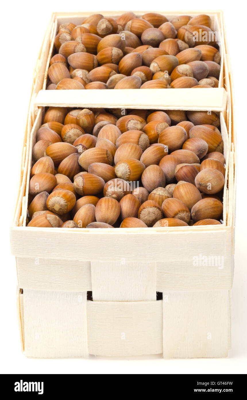 Common hazelnuts in a wicker basket on white background. Unshelled ripe seeds of Corylus avellana, native in Europe. Stock Photo