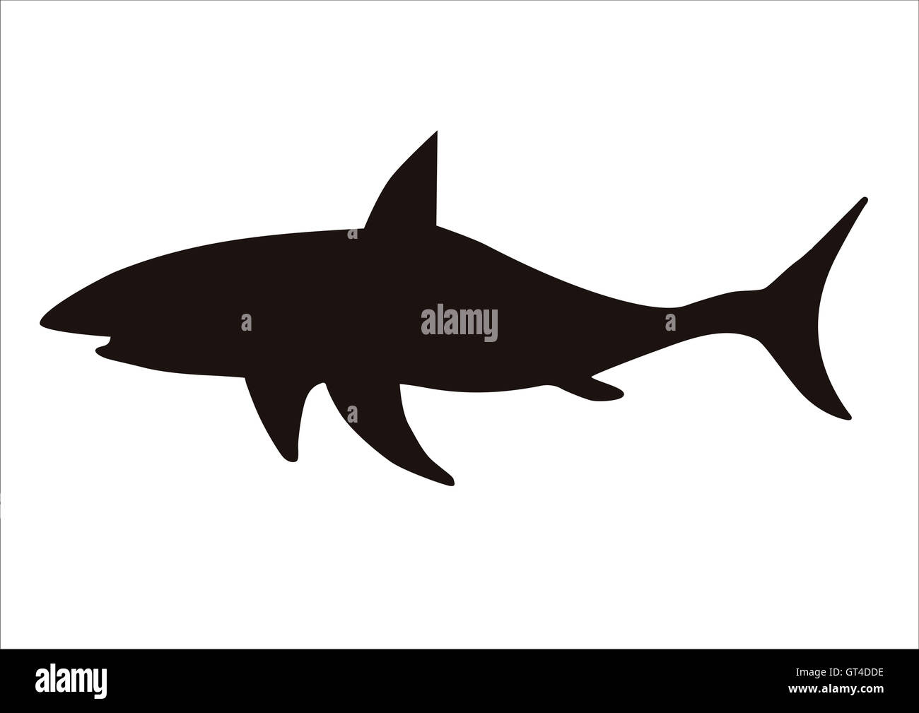 shark warning flag Stock Photo - Alamy