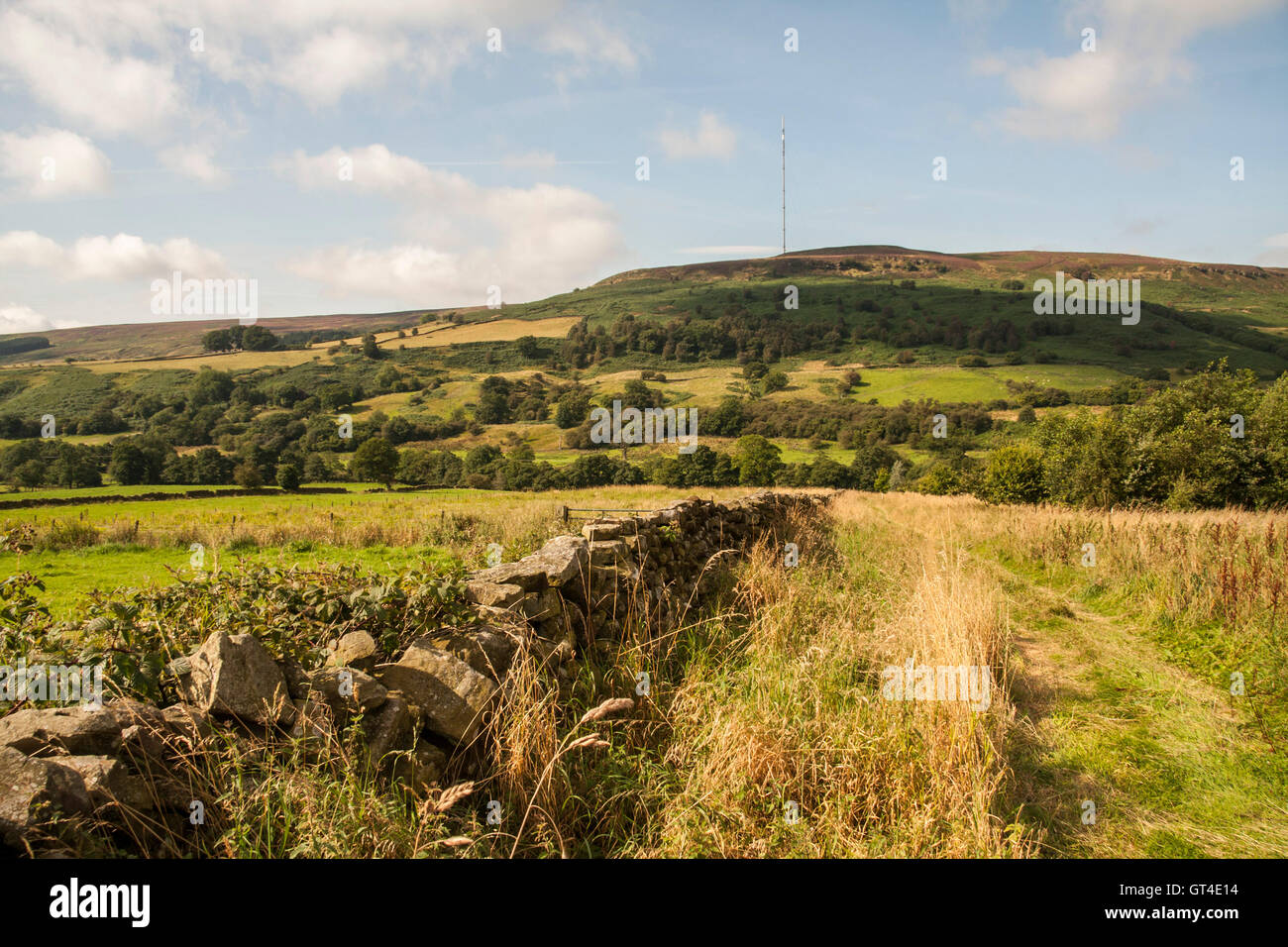 A scenic view of Bilsdale on the North Yorkshire Moors with the transmitter in the background Stock Photo