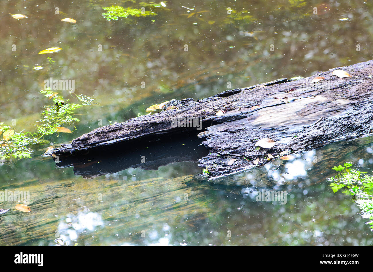 Moulder Brown High Resolution Stock Photography and Images - Alamy