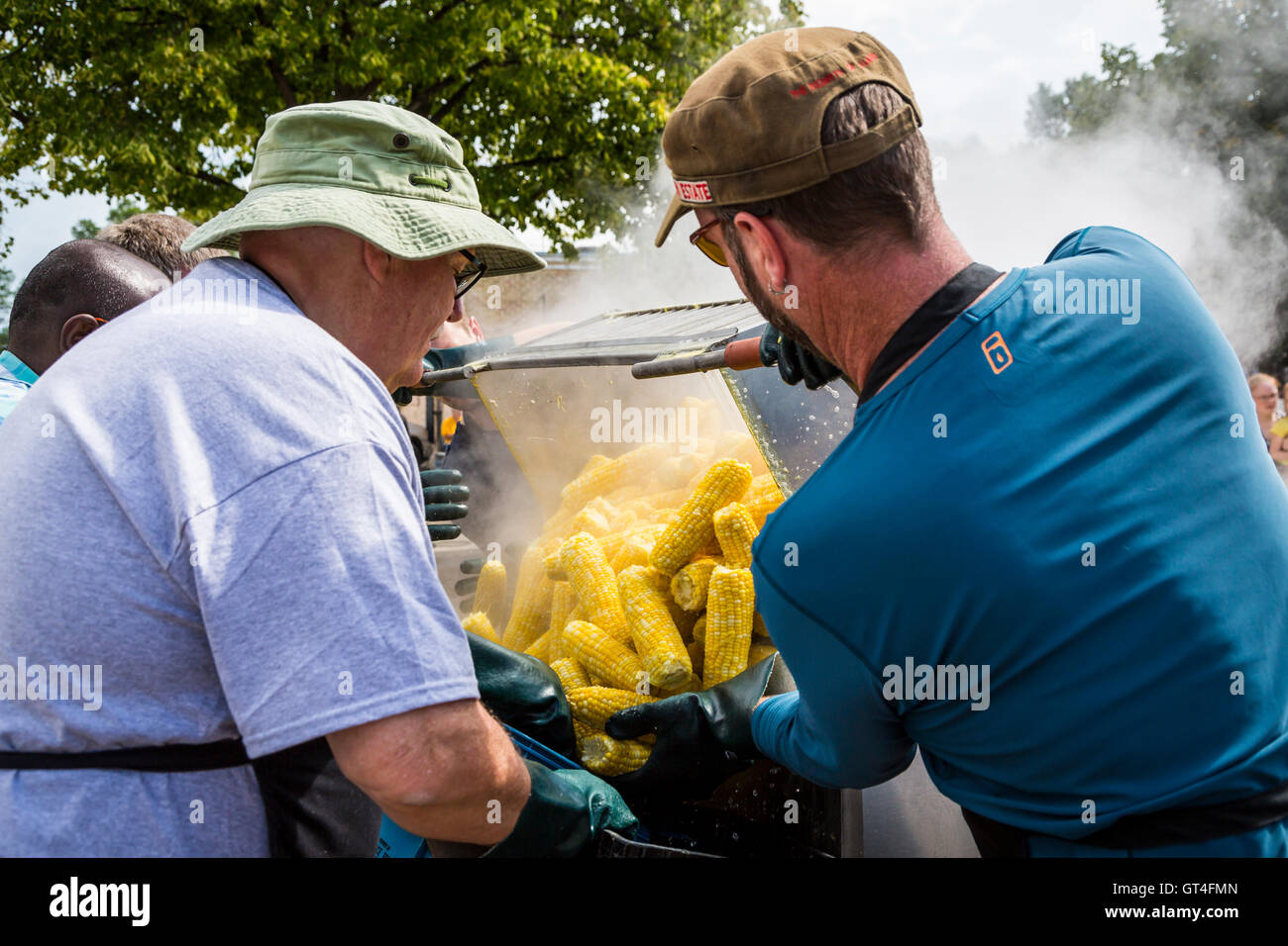 Preparing free corn at the Corn and Apple Festival 2016 in Morden, Manitoba, Canada. Stock Photo