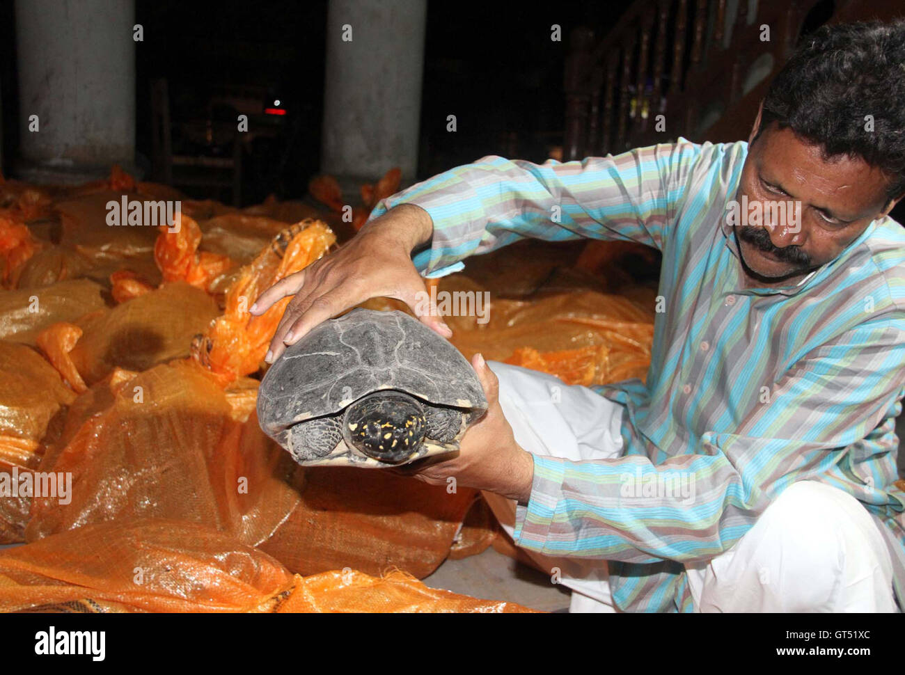 Turtles of pakistan hi-res stock photography and images - Alamy