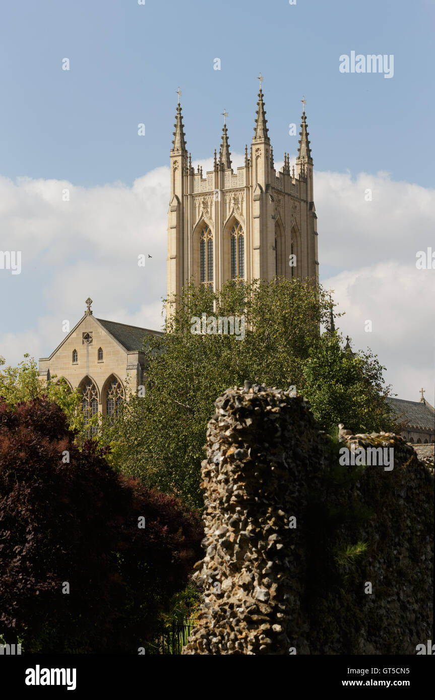 Saint Edmundsbury Cathedral tower from the grounds of the Abbey gardens
