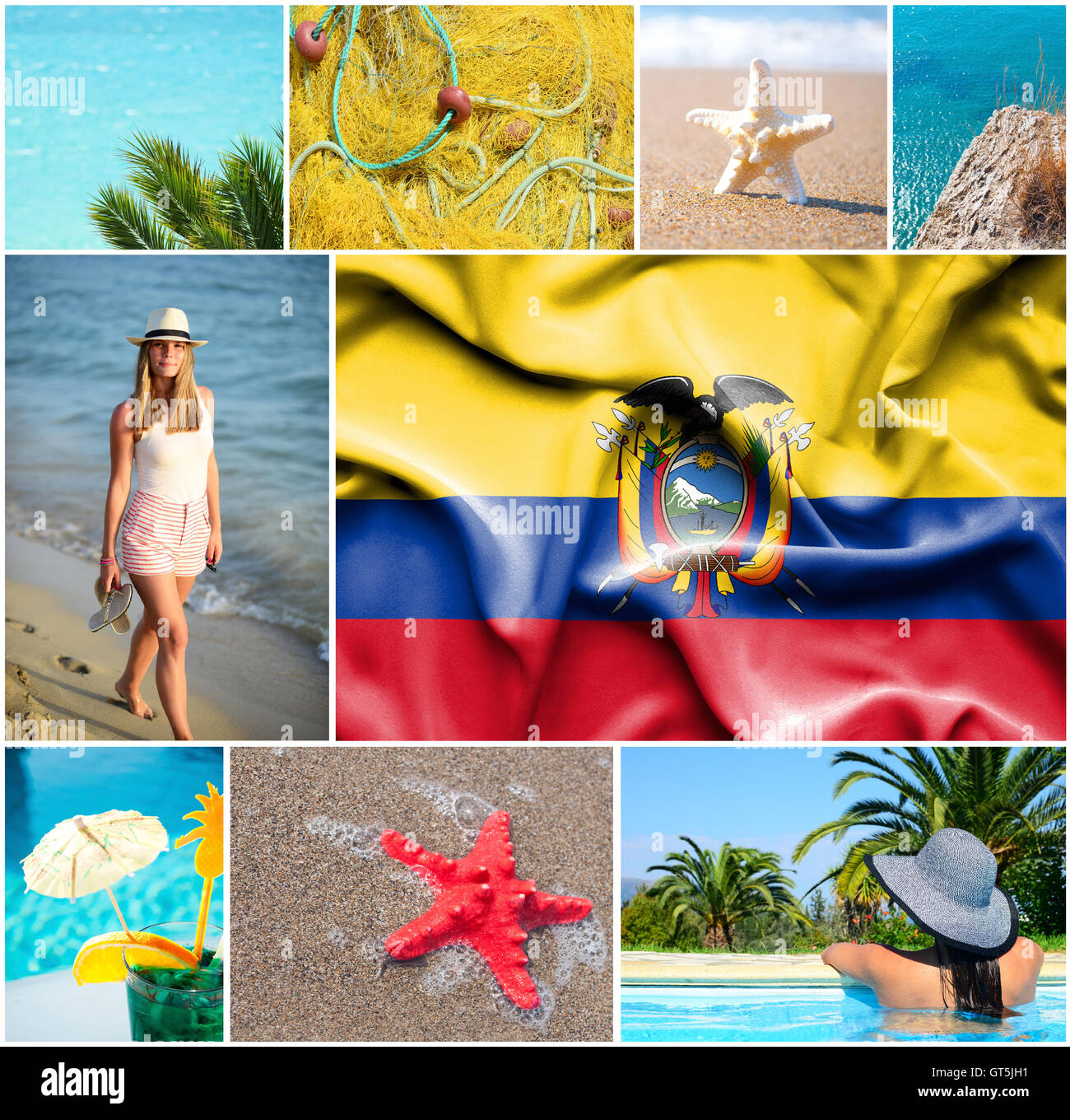 Walking palm ecuador hi-res stock photography and images - Alamy