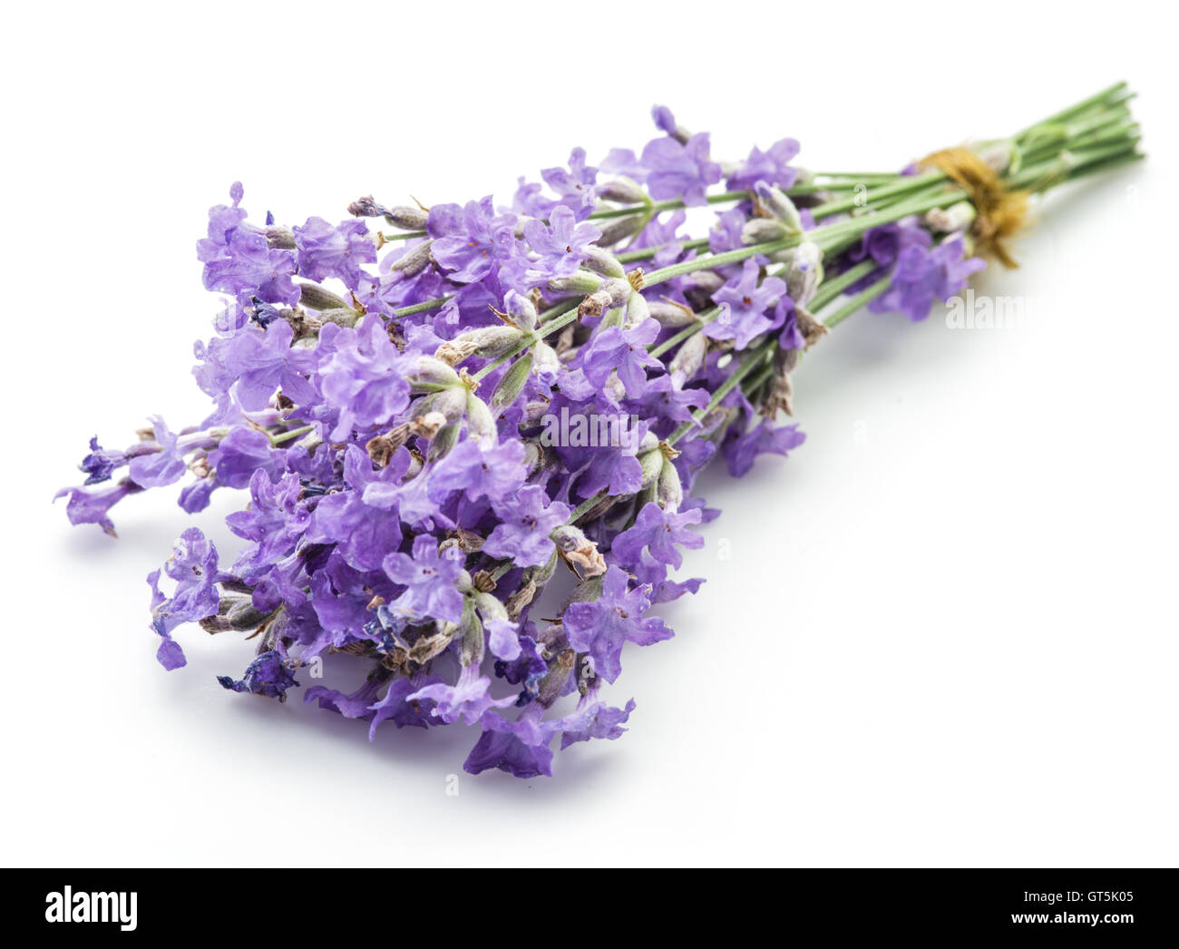Bunch of lavandula or lavender flowers isolated on white background. Stock Photo