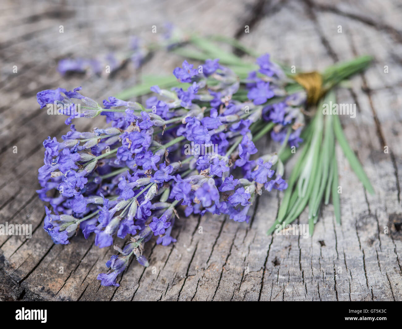 Bunch of lavandula or lavender flowers on the old wooden table. Stock Photo