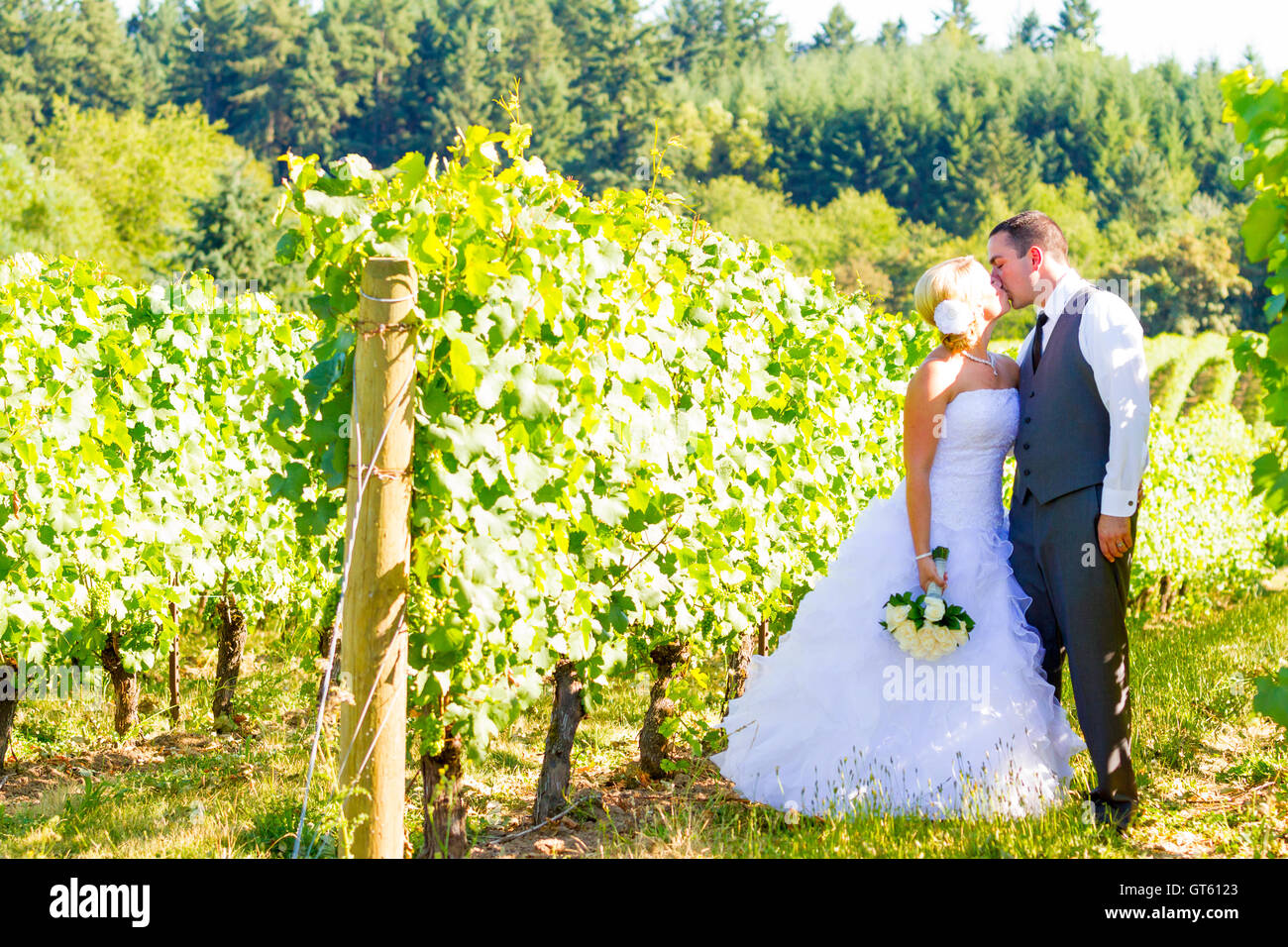 Bride and Groom Wedding Kiss Stock Photo - Alamy