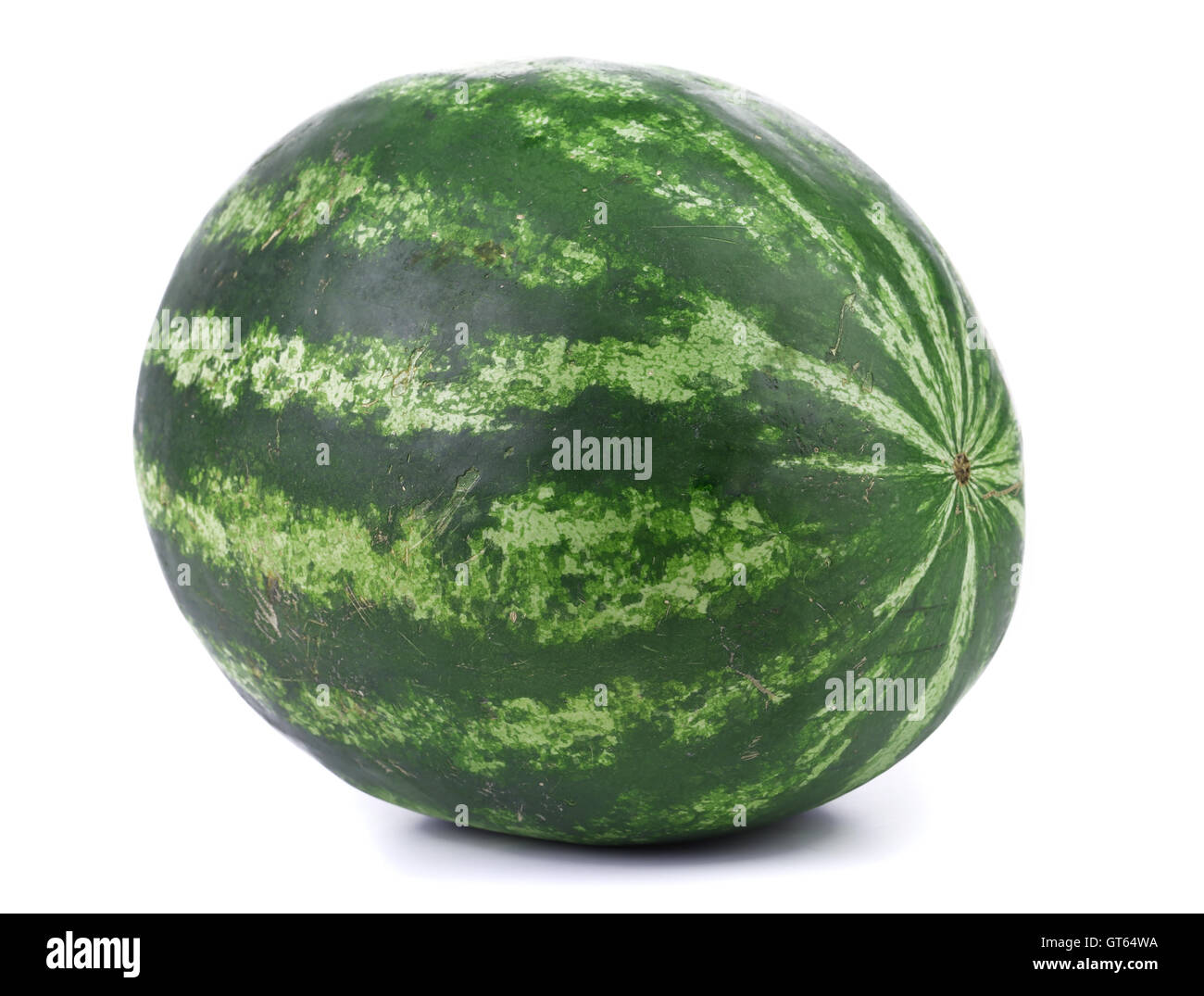Big green water melon Stock Photo Alamy
