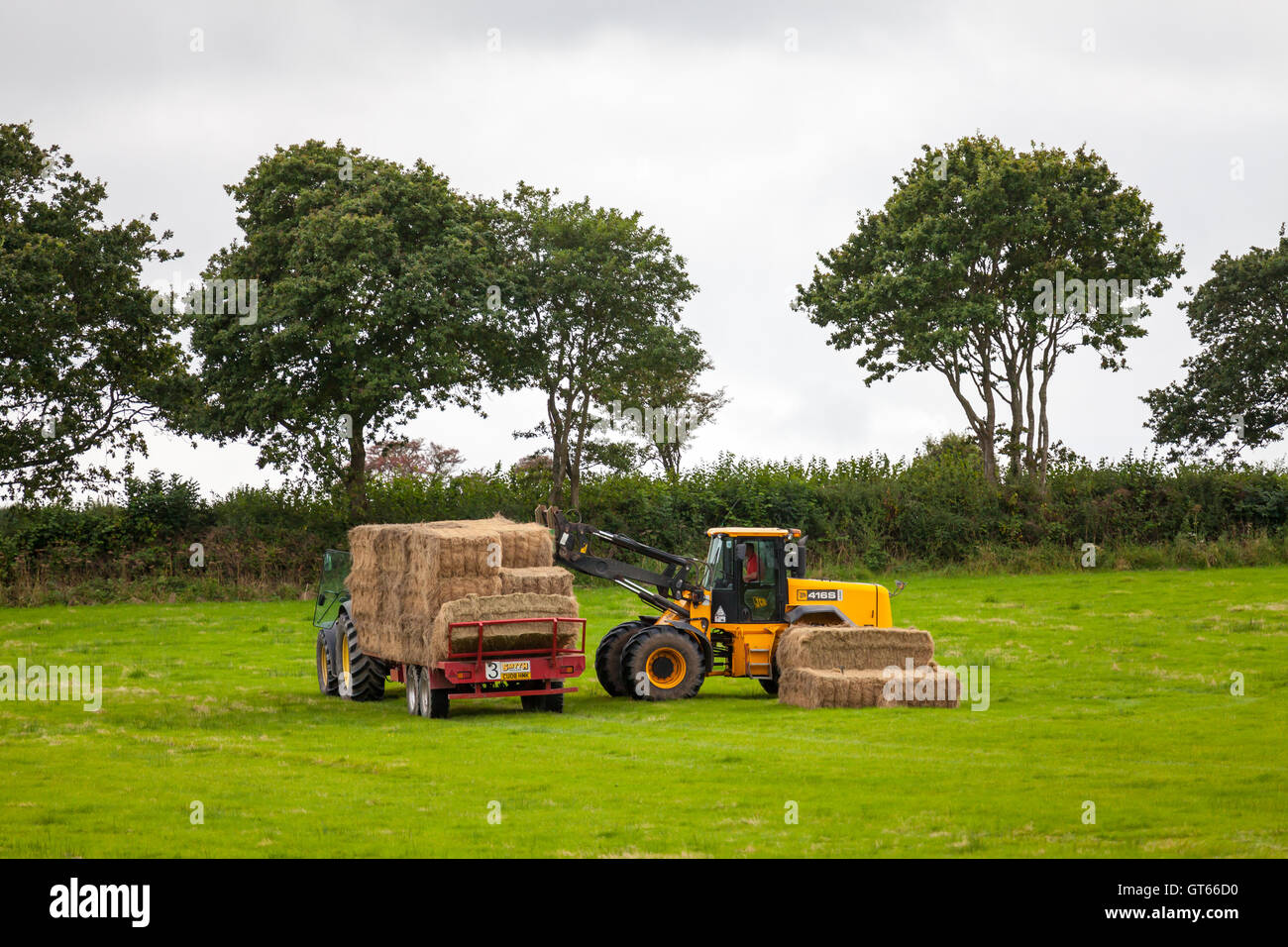 Loader moving bales of hay to a trailer, Pembrokeshire, UK Stock Photo