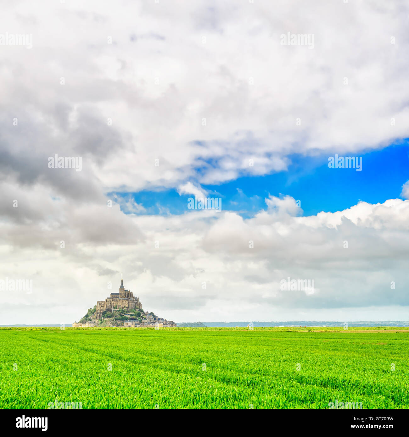 Mont Saint Michel monastery landmark and green field. Unesco heritage site. Normandy, France, Europe. Stock Photo