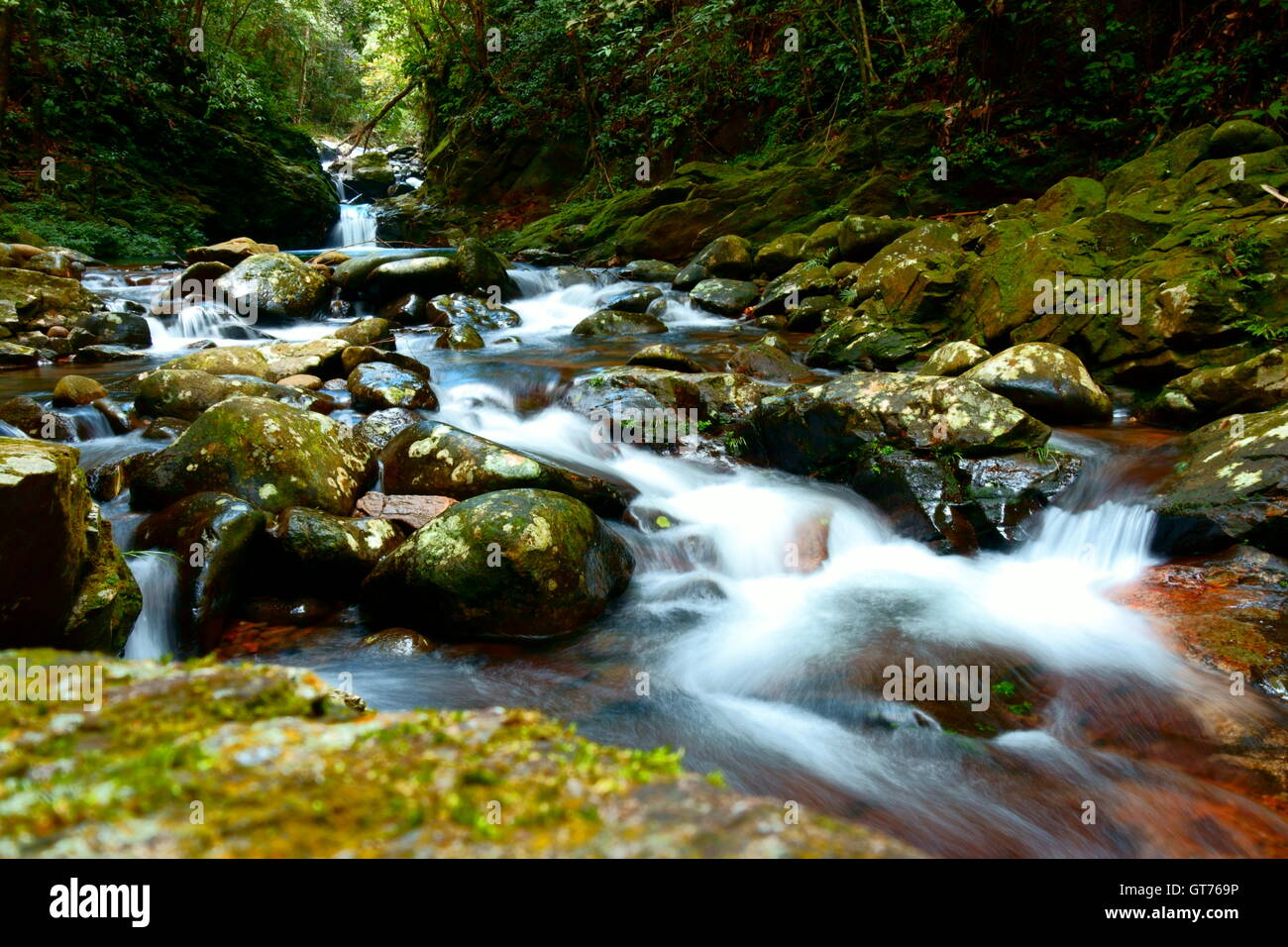 Waterfall and stream Bach Ma national park Vietnam Stock Photo - Alamy