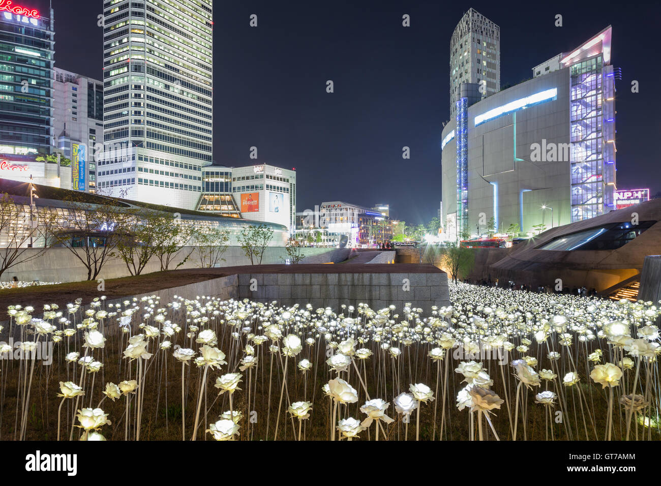 Lit LED Rose Garden at the Dongdaemun Design Plaza in Seoul, South Korea at night, viewed from the front. Stock Photo