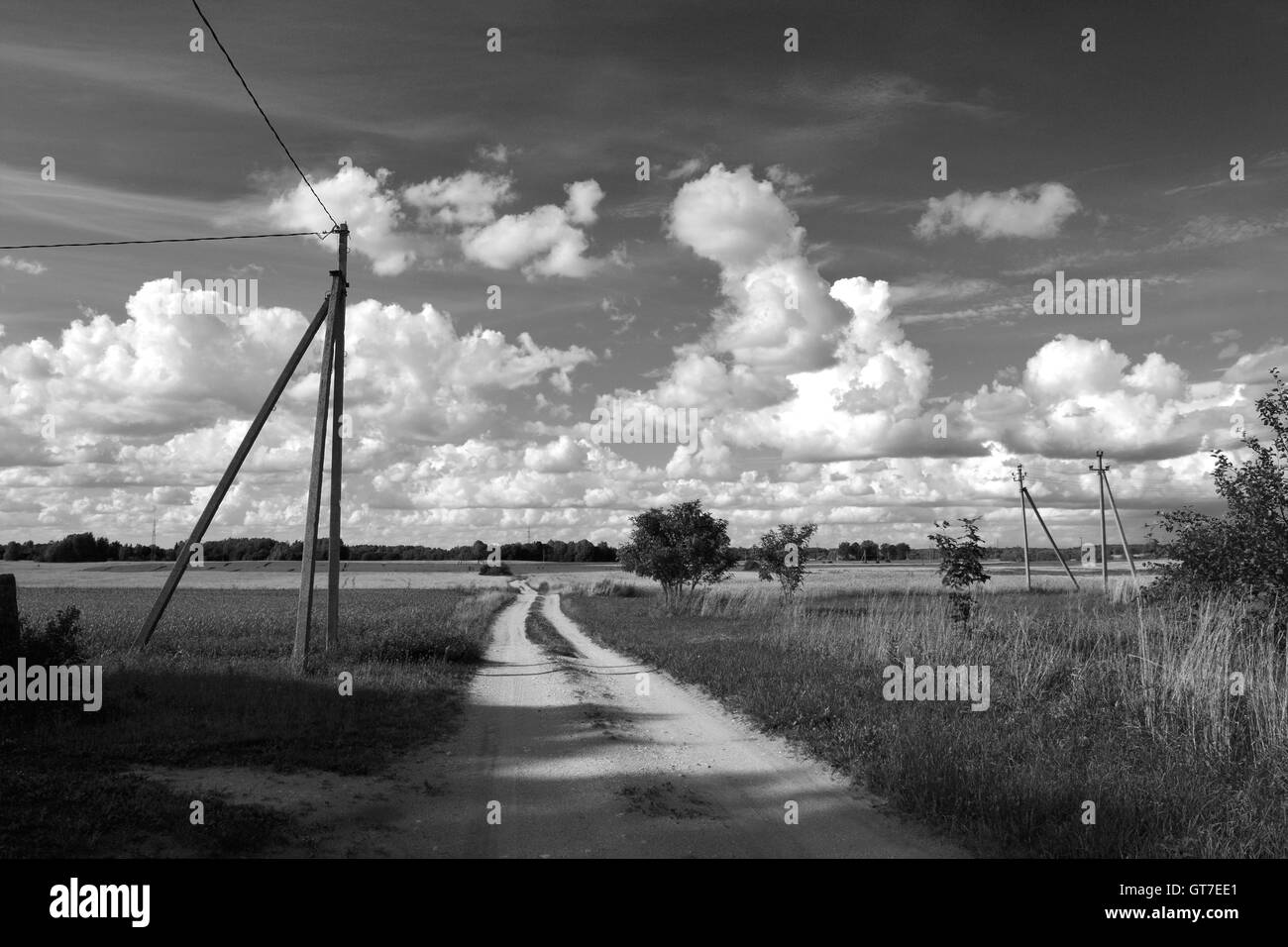 Black and white photo of summer countryside landscape with clouds and ...