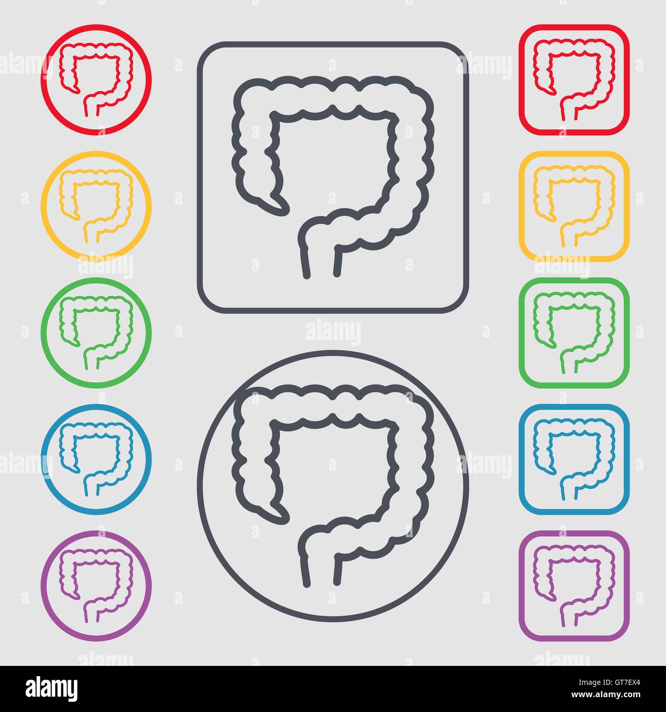 large intestine icon sign. symbol on the Round and square buttons with ...