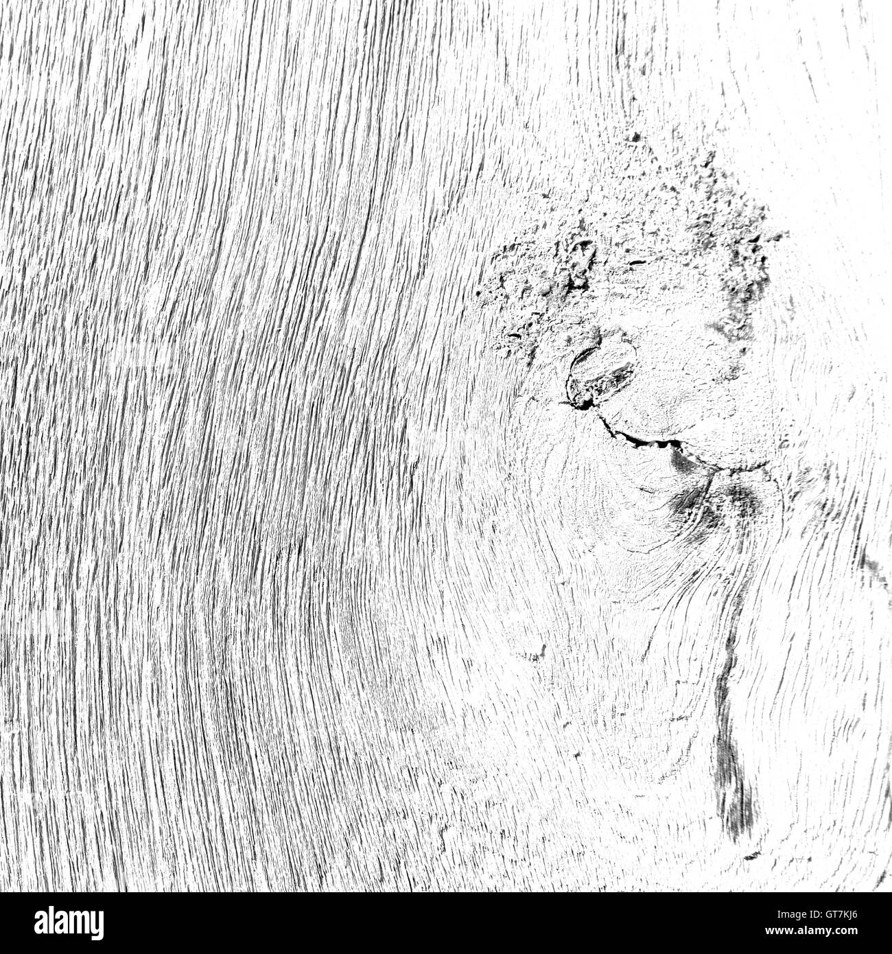 Cross section of a tree trunk Black and White Stock Photos & Images - Alamy