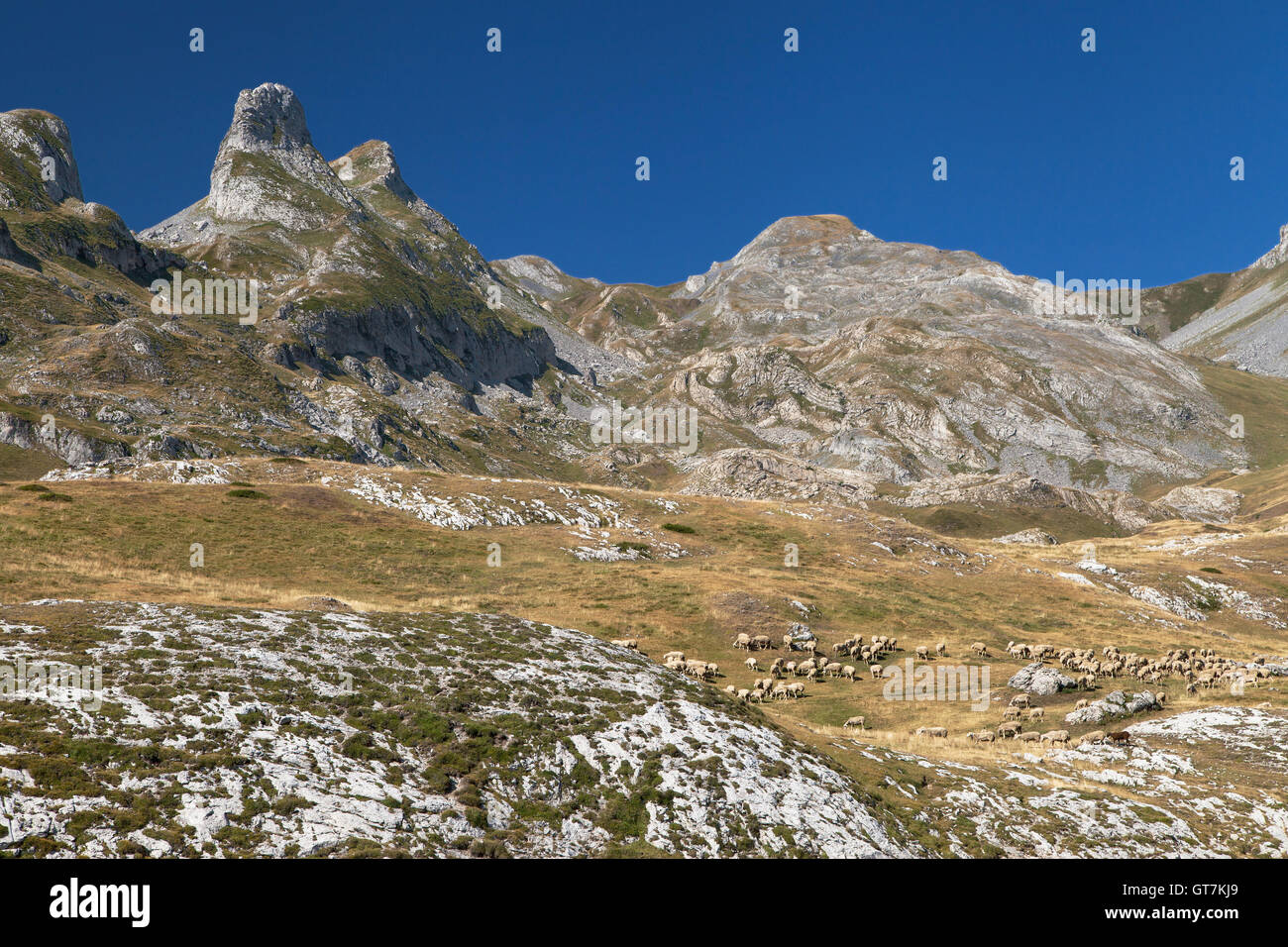 Peaks of the Campana de Aneu and Cuyalaret from Pourtalet mountain pass on the border between Spain and France. Stock Photo