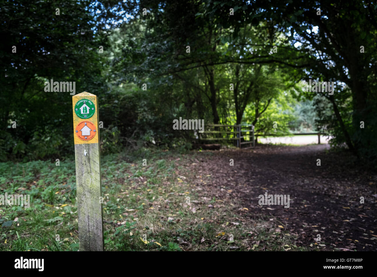 Countryside path in the UK Stock Photo - Alamy
