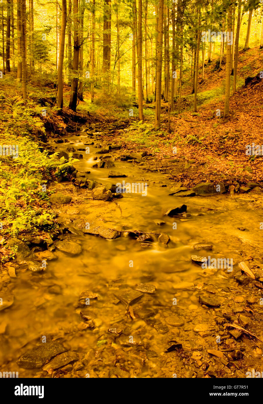 Nature photography of a beautiful little river in a mountains Stock ...