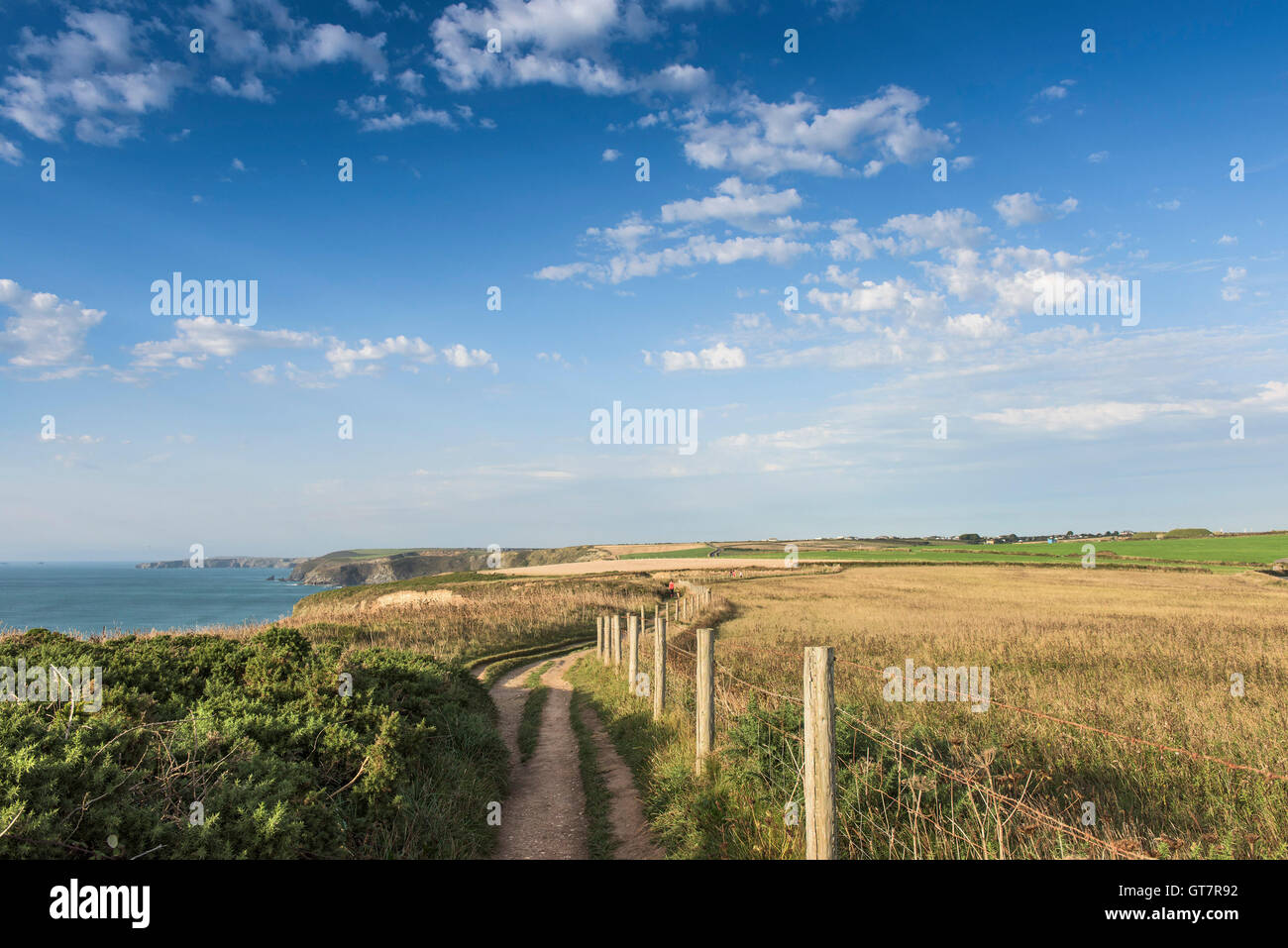 The South West Coastal Path from Newquay to Watergate Bay in Cornwall. Stock Photo