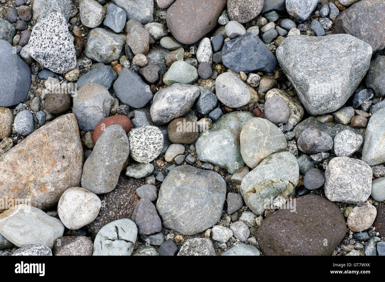 Weathered rocks of various sizes on a rocky beach, Vancouver, British Columbia, Canada Stock Photo
