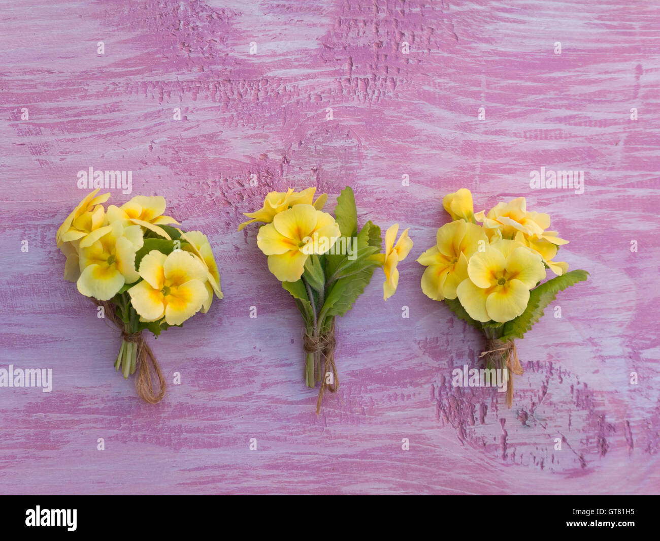 Three yellow primrose flowers bouquets tied with jute rope on the violet painted wooden board Stock Photo
